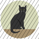 icon-img