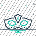 icon-img