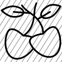 icon-img