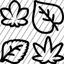 icon-img