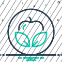 icon-img