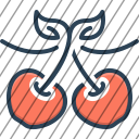 icon-img