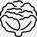 icon-img