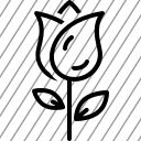 icon-img
