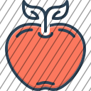 icon-img