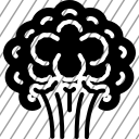 icon-img