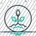 icon-img
