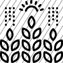 icon-img