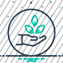 icon-img