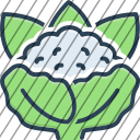 icon-img