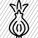 icon-img