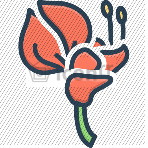 after-icon-128