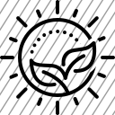 icon-img