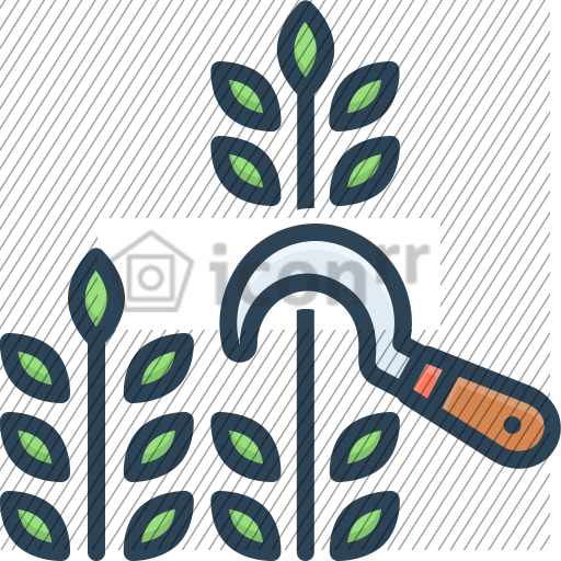 after-icon-128