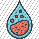 icon-img