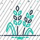 icon-img