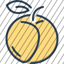 icon-img
