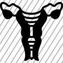 icon-img