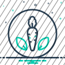 icon-img