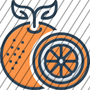 icon-img