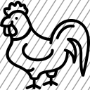 icon-img