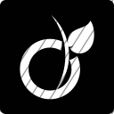 icon-img