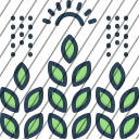 icon-img