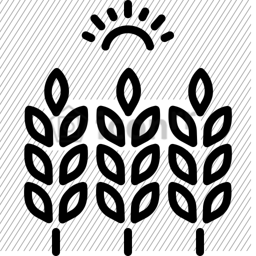 after-icon-128