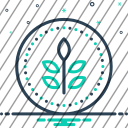 icon-img
