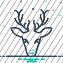 icon-img