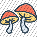icon-img