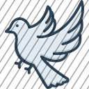 icon-img