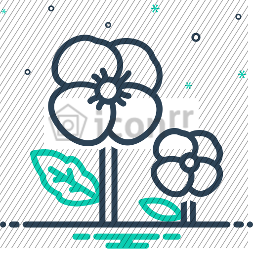 after-icon-128
