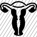 icon-img