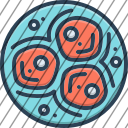 icon-img