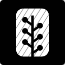 icon-img