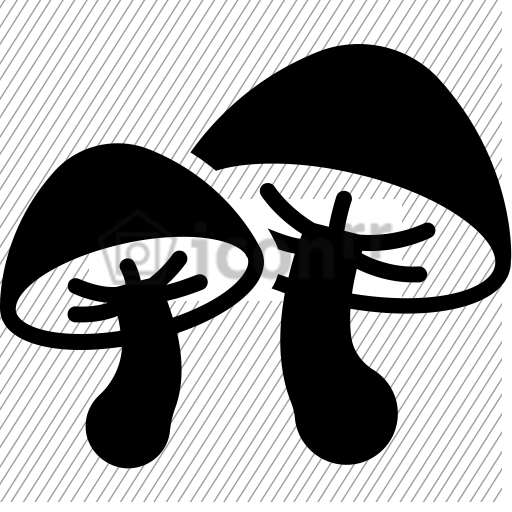 after-icon-128